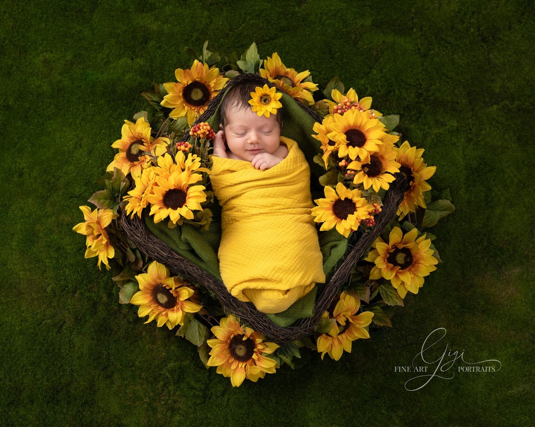 This sweet little girl has a sunflower themed nursery and I had so much fun creating some custom sunflower images for her.  That precious smile just melts my heart!

 #fineartphotography #sunflowerlove ##newbornportraits